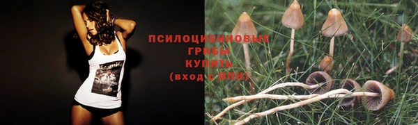 кокаин премиум Пролетарск