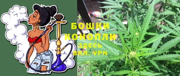 ПСИЛОЦИБИНОВЫЕ ГРИБЫ Приозерск