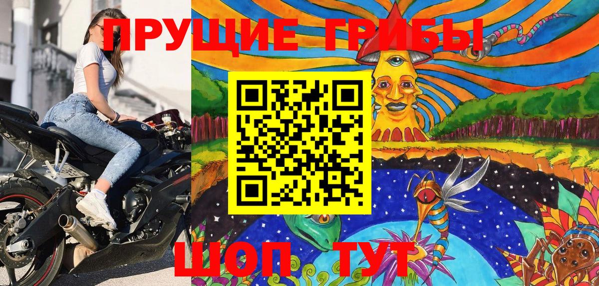 Псилоцибиновые грибы GOLDEN TEACHER  Псилоцибиновые грибы Cubensis  Вход с VPN  Кузнецк 