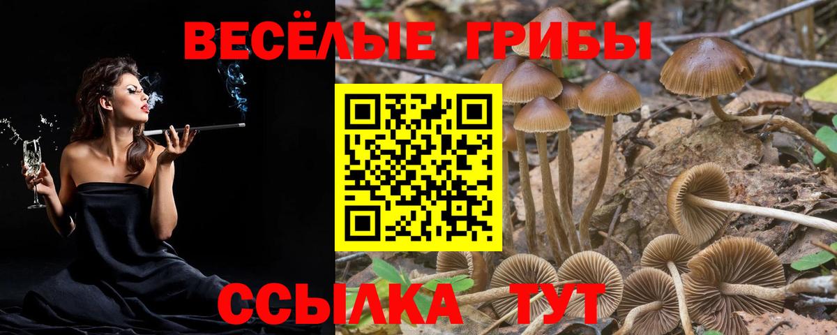 Галлюциногенные грибы Magic Shrooms Кузнецк