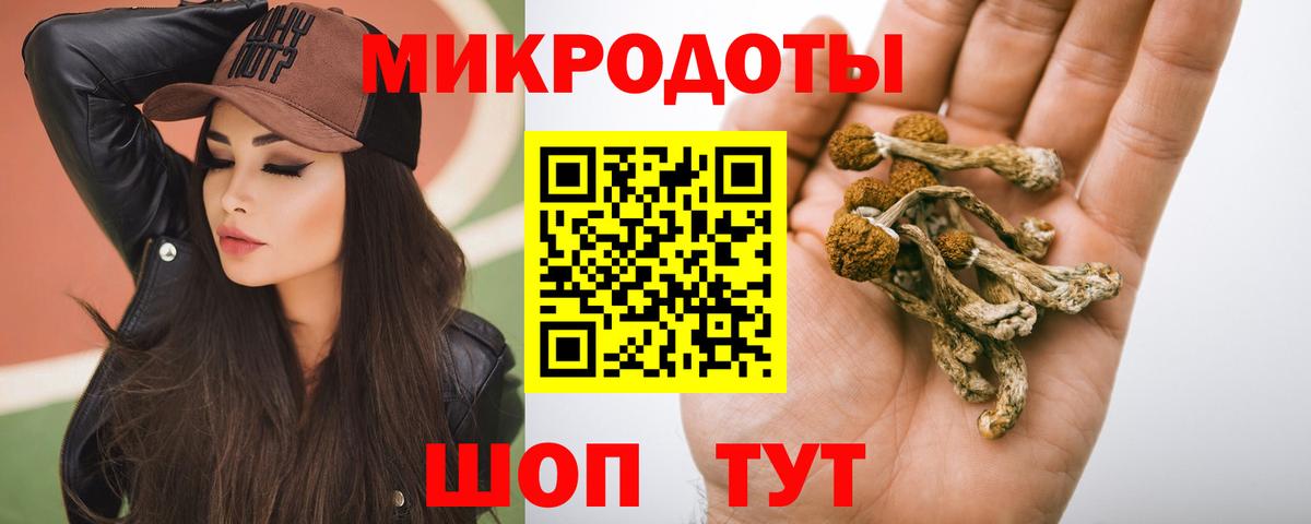 Псилоцибиновые грибы Magic Shrooms  Кузнецк  Псилоцибиновые грибы мицелий 